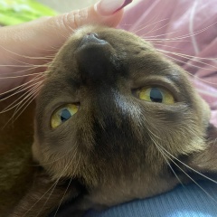 Илона Дзюба, 07.11, Санкт-Петербург