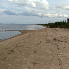 Андрей Старовойтов, 03.12, Санкт-Петербург