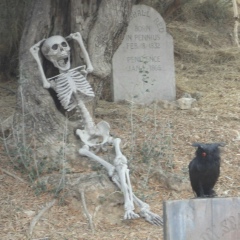 Александра Гордеева, 08.06.1987, Москва