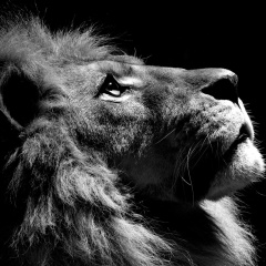 Радик Сафиуллин