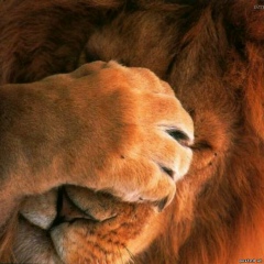 Куанышгали Цыбендаржиев