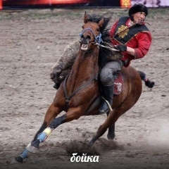 Баха Мустафа, Шымкент