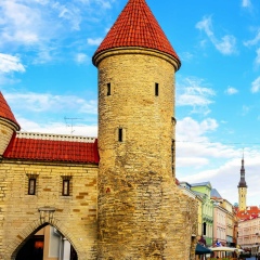 Эдуард Эдуард, 31.12, Yokohama