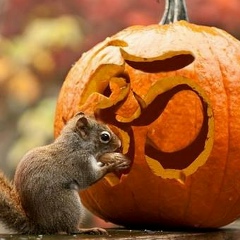 Алексей Дикарёв, 15.06