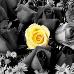 Ольга Партнова, 12.03, Байконур