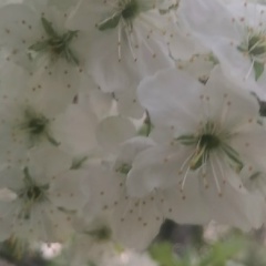 Олежа Бобров, 01.09.1987, Санкт-Петербург