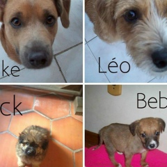 Mirian Lima, 27.08.1966