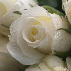 Кундызай Мойтбекова, 07.12.1992, Шымкент