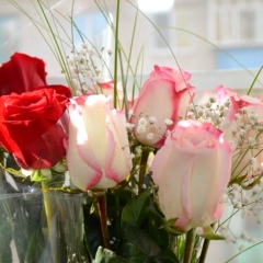 Елена Борисова, 23.10, Чебоксары