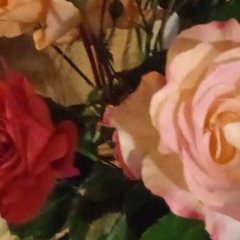 Marina Silnova, 06.04.1988, Москва