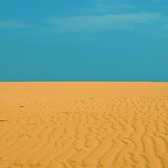 Александр Насонов, Ялта