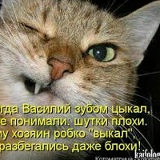 Azizbek Bekchanov, 08.09.1999, Санкт-Петербург