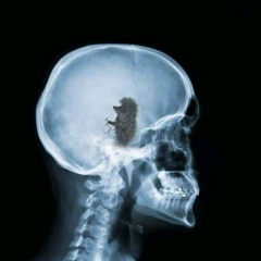 Евгения Кобрина, 31.12, Espoo