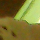 Татьяна Брянская, 25.01.2003, Брянск