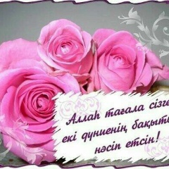 Дана Дулатбекова