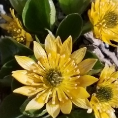 Алексей Вайнер, 29.05