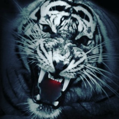 Павел Рябиков, 02.02.1982, Салехард