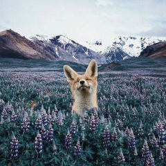 Людмила Скоробогатых, Бийск