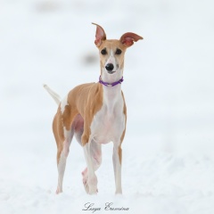 Мария Фомина, 28.08, Москва