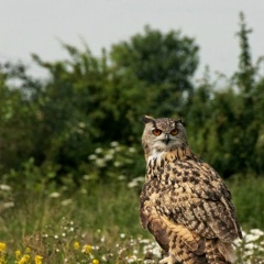Вечно Молодой, 14.06, Уфа