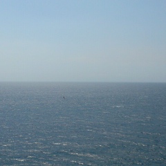 Сергей Амбарцумян, Москва