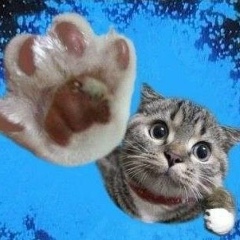 Санёк Злобин, 02.10.1989, Волгоград