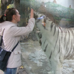 Алена Аленовна, Москва