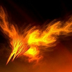 Петр Нестеров, 20.07.1988