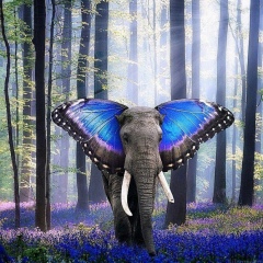 Денис Венгеров, 26.11, Мурманск