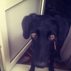 Аня Кошкина, 05.08.2004