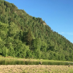 Альфия Аминева