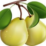 Пётр Якинский, 04.04.1991