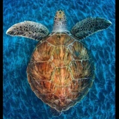 Irina Tsoy, 23.05, Алматы