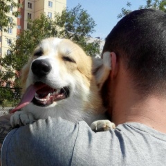 Антон Черкасов, 22.03.1989, Санкт-Петербург