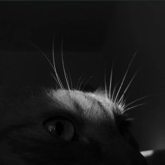 Влад Багно, 10.04, Москва