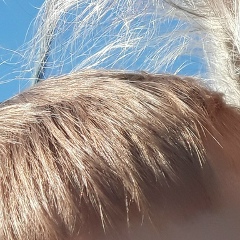 Марина Герасимова, 09.04, Санкт-Петербург