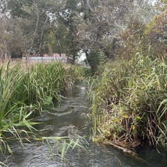 Zm Ma, Washington, D.C.