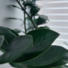 Ирина Арефьева, 23.03.1977, Тюмень