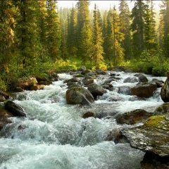 Айрат Ибрагимов, 08.10