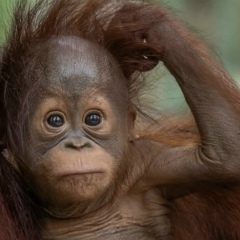 Наталья Р, Москва