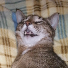 Святослава Терехина, 31.07.1992