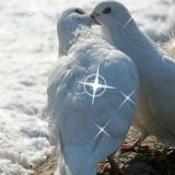 Аман Шаманов, 01.03.1988