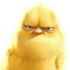 Оксашка Родионова, Воронеж