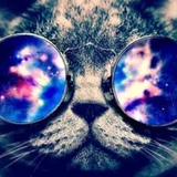 Вовчик Плетуновский, 22.04, Киев