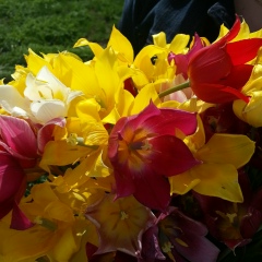 Шолпан Ирмухамбетова, 09.09.1985, Алматы