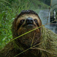 Дмитрий Рубанов, 29.09.1988, Томск