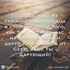 Нурлан Онгарбаев, Dubai