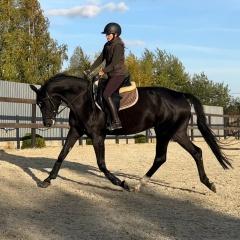 Катюша Fox, 01.09, Москва