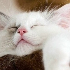 Карина Кравчук, 09.08