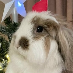 Игорь Демченко, 11.08, Санкт-Петербург